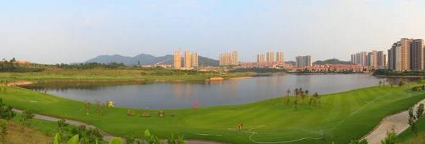 别墅湖!景观临湖!独栋园林!500m白鹭!性价比最高没有之一!内一线别墅花园造价图片